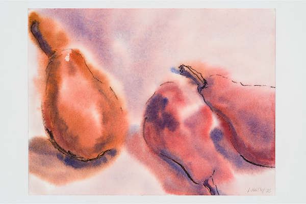 Red Pears, Watercolour on Rembrandt, 12x9 in.